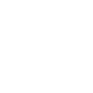 Citizen Capital
